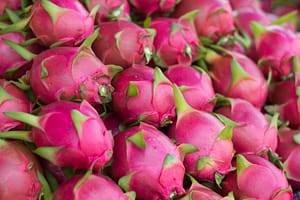 Dragon Fruit