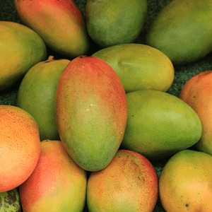 Mango Juice